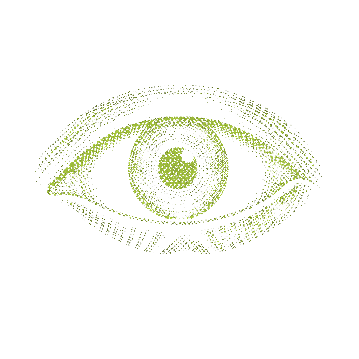Perception