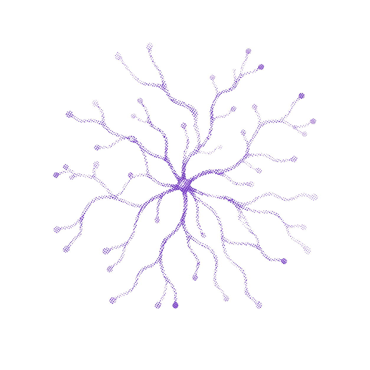 Network