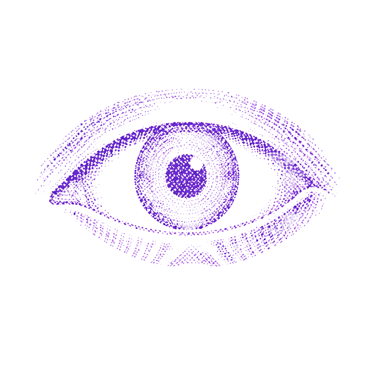 Perception